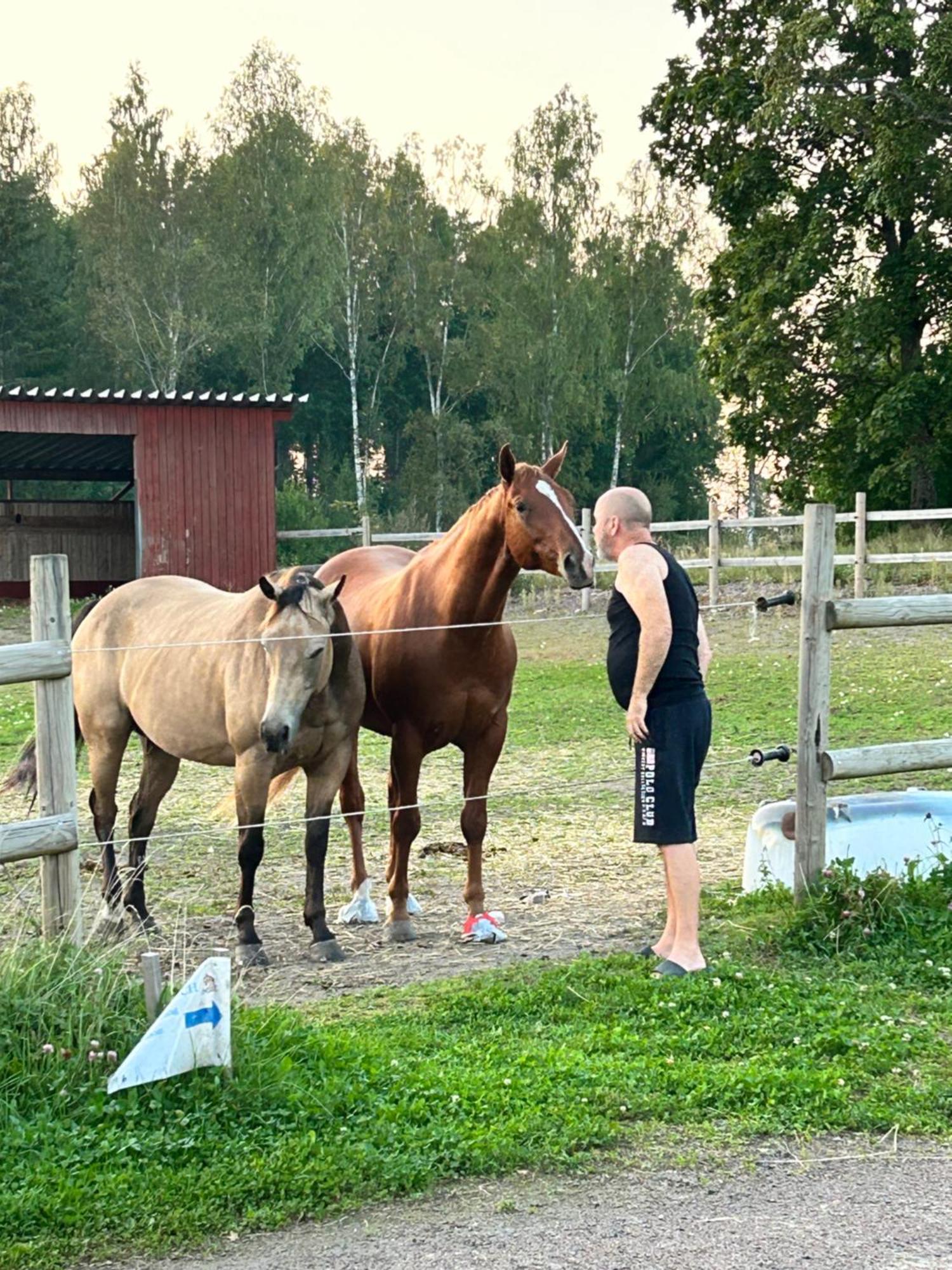 Ulvsby Ranch Western Camp Karlstad Luaran gambar