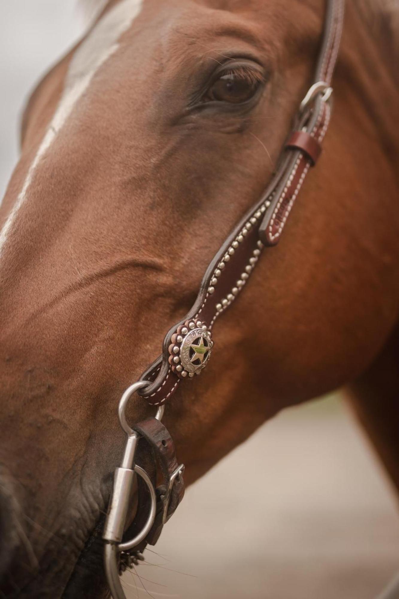 Ulvsby Ranch Western Camp Karlstad Luaran gambar